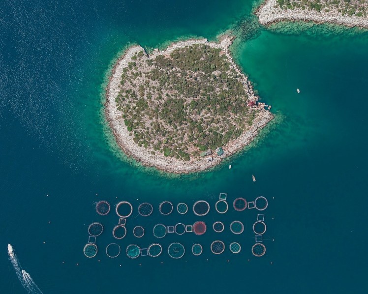 Aerial fish farm1