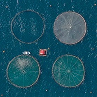 Aerial fish farm3