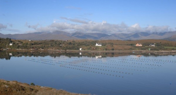 musselfarm_irishexaminer