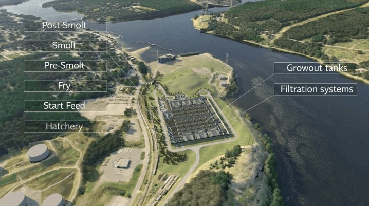 Screen Shot 2018-04-11 at 10.39.01 AM