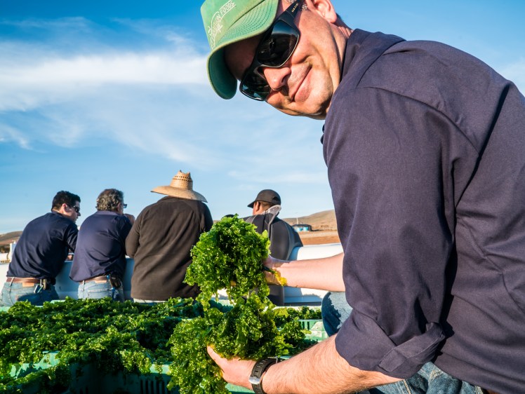 Blue Evolution Beau Mexico